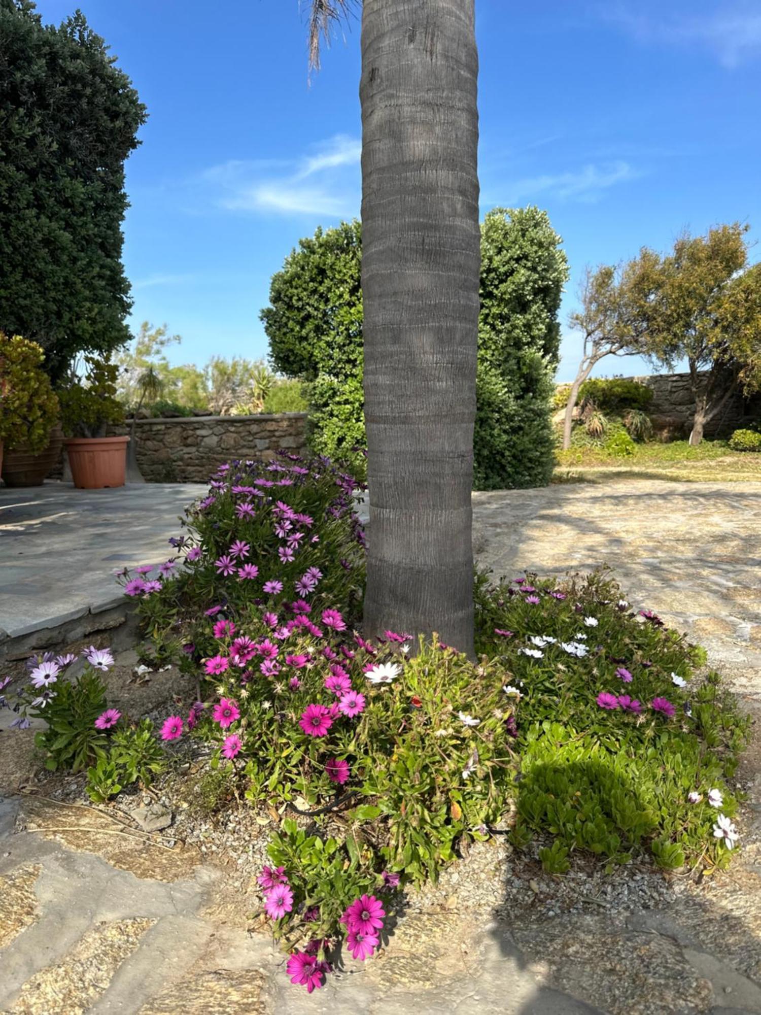 Divers House