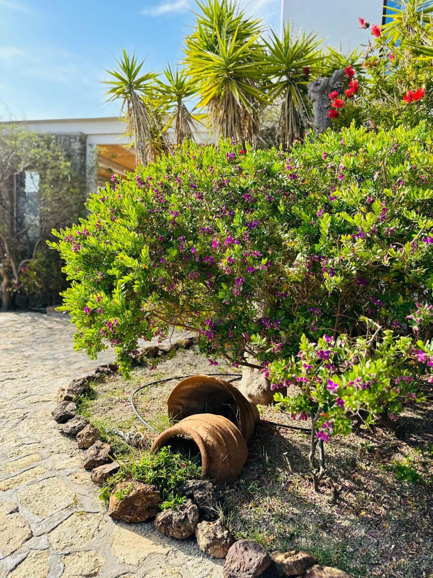 Divers House * Agrari (Mykonos)